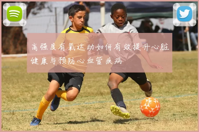 高强度有氧运动如何有效提升心脏健康与预防心血管疾病