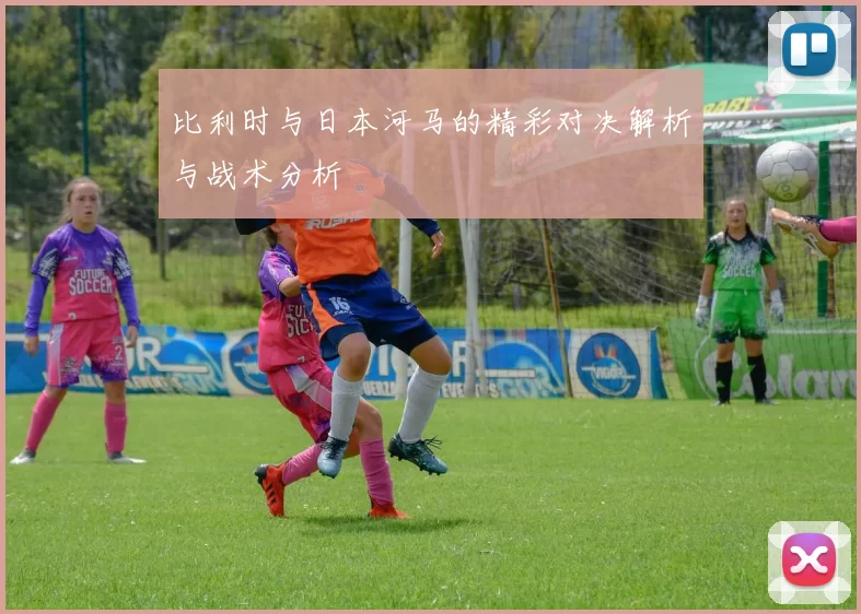 比利时与日本河马的精彩对决解析与战术分析