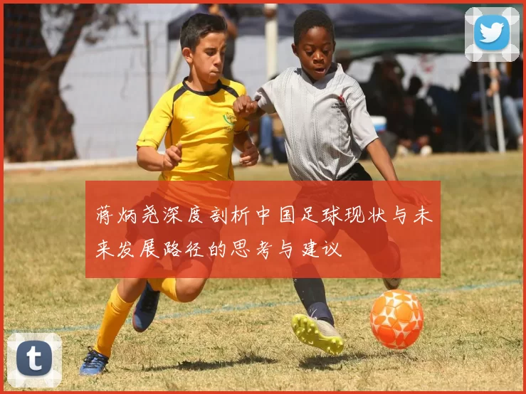 蒋炳尧深度剖析中国足球现状与未来发展路径的思考与建议